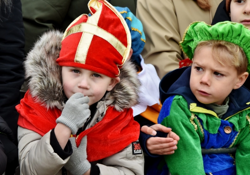 DSC_0042 (1024x906).jpg